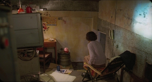 Goodbye Dragon Inn 24