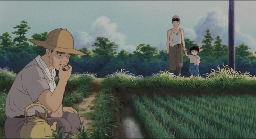 Grave of the Fireflies 50
