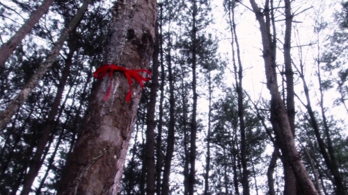 Happiness of the Katakuris 44