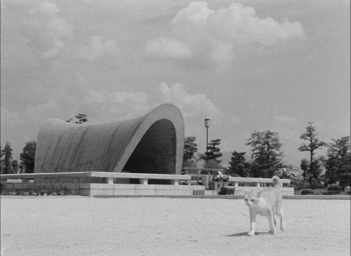 Hiroshima Mon Amour 16