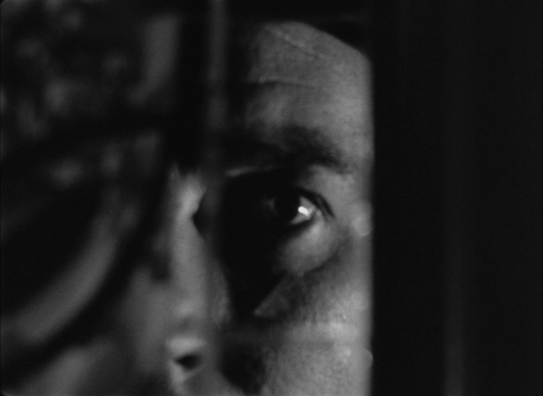 House By The River 12