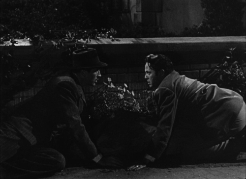 House By The River 15