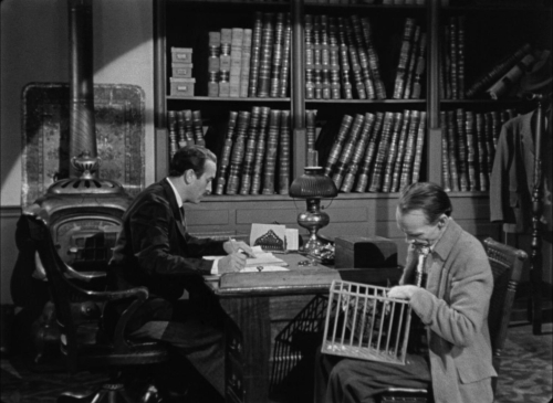 House By The River 26