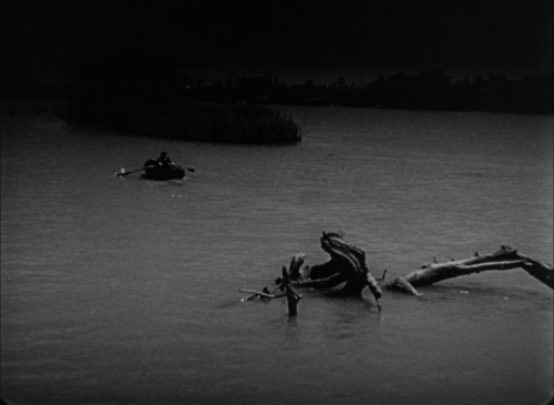 House By The River 36