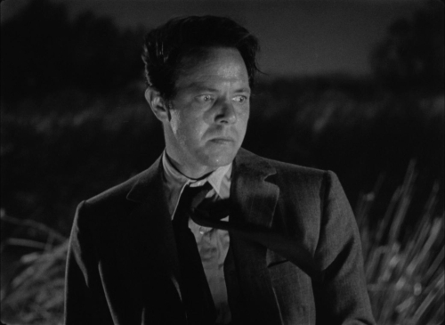 House By The River 38