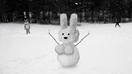 Hundreds of Beavers 07