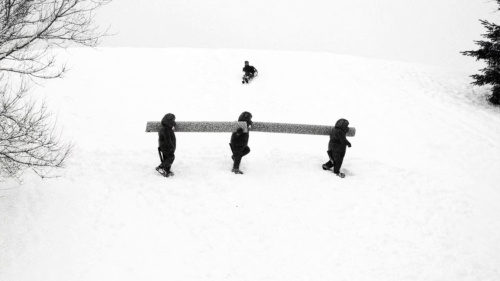 Hundreds of Beavers 08