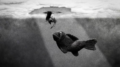 Hundreds of Beavers 12