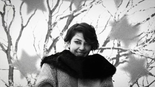 Hundreds of Beavers 15