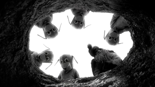 Hundreds of Beavers 21