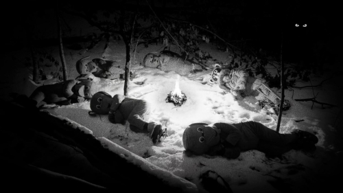 Hundreds of Beavers 22