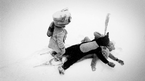 Hundreds of Beavers 29