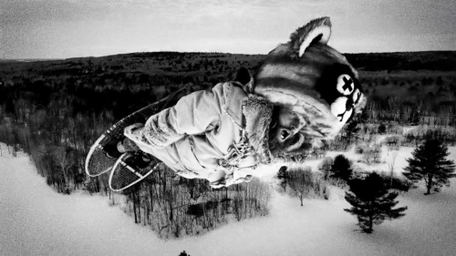 Hundreds of Beavers 32