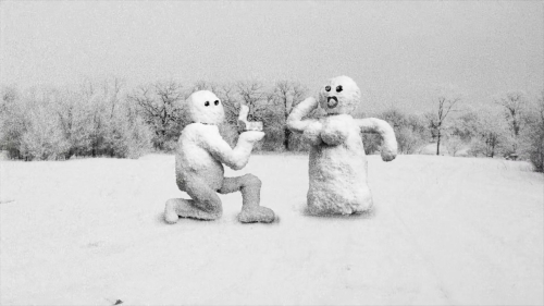 Hundreds of Beavers 35