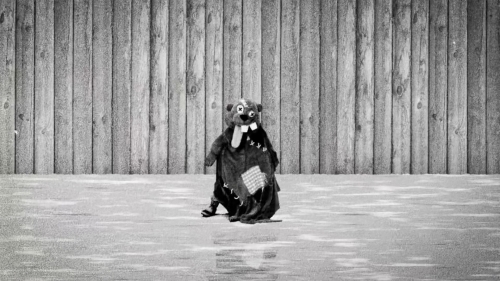 Hundreds of Beavers 42