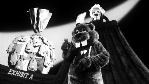 Hundreds of Beavers 51