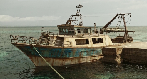 IO Capitano 55