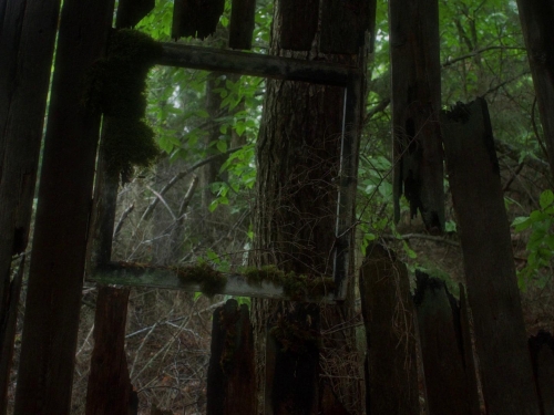 In A Violent Nature 01