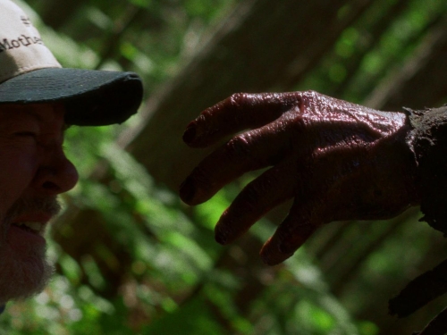 In A Violent Nature 10