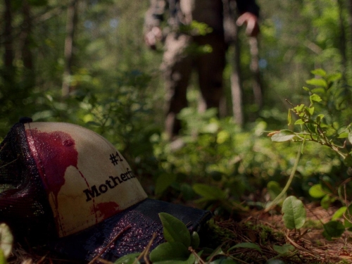 In A Violent Nature 12