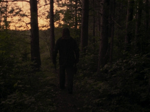 In A Violent Nature 25