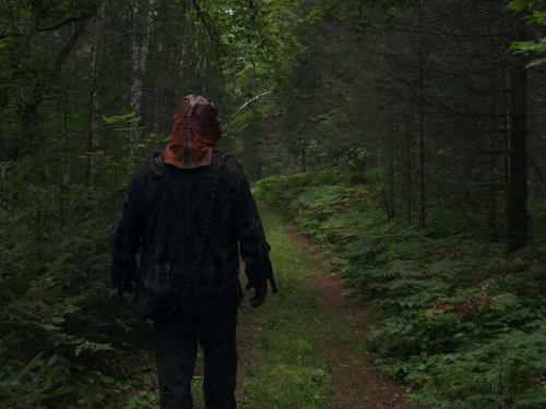 In A Violent Nature 29