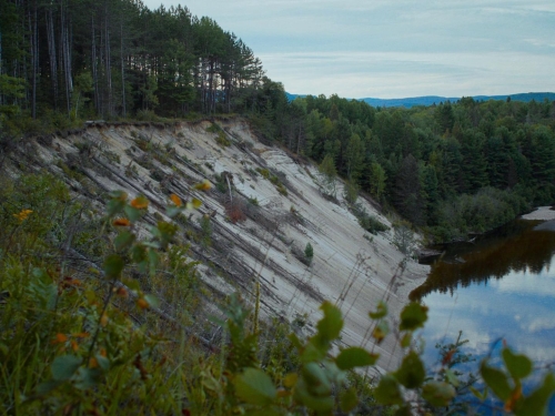 In A Violent Nature 37