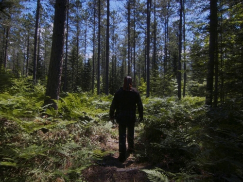 In A Violent Nature 39