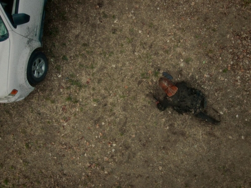 In A Violent Nature 42