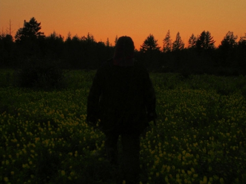 In A Violent Nature 46