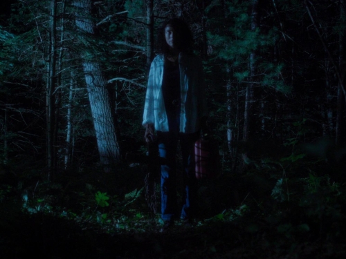 In A Violent Nature 53