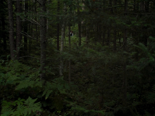 In A Violent Nature 55