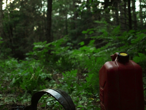 In A Violent Nature 65