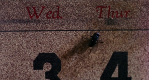 In The Heat Of The Night 04