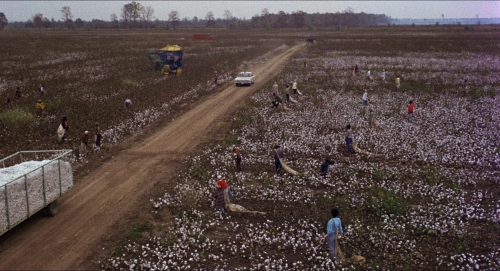 In The Heat Of The Night 35