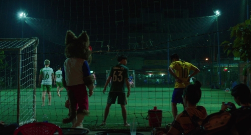 Inside The Yellow Cocoon Shell 01