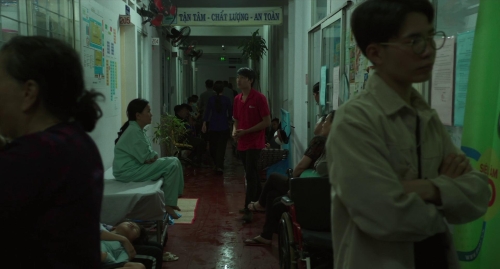 Inside The Yellow Cocoon Shell 07