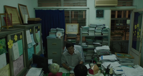 Inside The Yellow Cocoon Shell 09