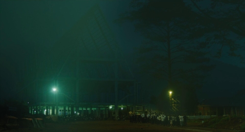 Inside The Yellow Cocoon Shell 14