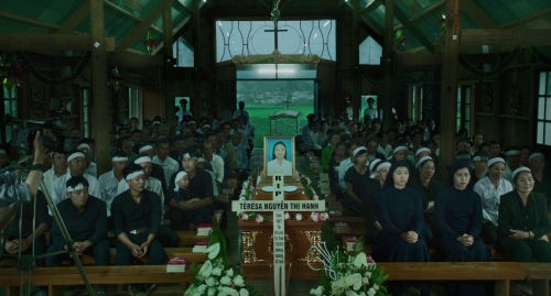 Inside The Yellow Cocoon Shell 15