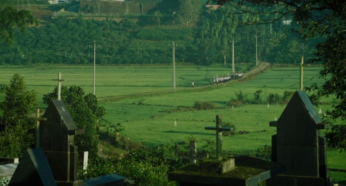 Inside The Yellow Cocoon Shell 16