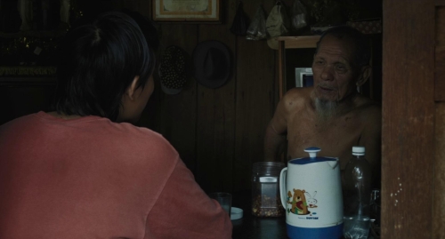 Inside The Yellow Cocoon Shell 18