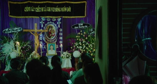 Inside The Yellow Cocoon Shell 21