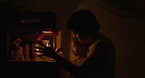 Inside The Yellow Cocoon Shell 22