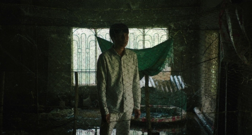 Inside The Yellow Cocoon Shell 27