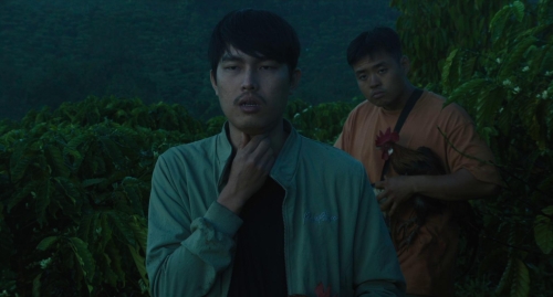 Inside The Yellow Cocoon Shell 28