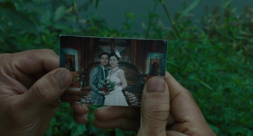 Inside The Yellow Cocoon Shell 29