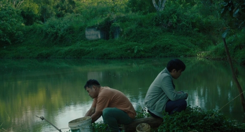 Inside The Yellow Cocoon Shell 30