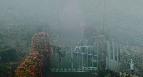 Inside The Yellow Cocoon Shell 32