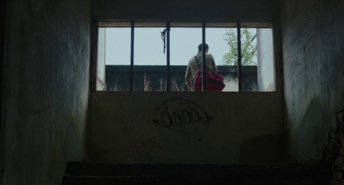 Inside The Yellow Cocoon Shell 36